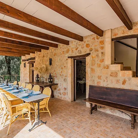 Varitx Paradis - By Dream