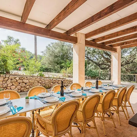 Varitx Paradis - By Dream